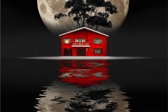 SENIOR-RUNNER-UP-SET-SUBJECT-House-by-the-lake-David-Barnes