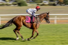 SENIOR WINNER-SET SUBJECT-JUDGES CHOICE-Great run-Francois du Bois