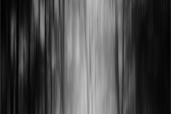 DS002-a-walk-in-the-park-David-Barnes