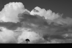 Set-Subject-Winner-STORM-BREWING-David-Barnes