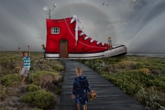 Open-Winner-There-was-an-old-lady-who-lived-in-a-Shoe-David-Barnes