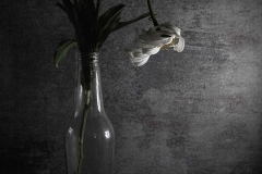 WINNER-JUNIOR-SET-SUBJECT-JUDGES-CHOICE-wilted-flower-Annelize-van-der-Berg