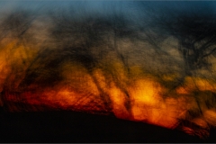 Winner-Set-Subject-Sunset-Fire-Francois-du-Bois