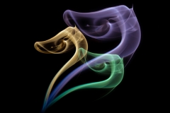 DS001-Smoke-ducks-Bennie-Vivier