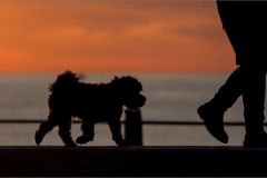 Walkies