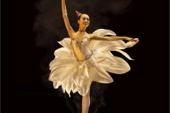 SENIOR-WINNER-OPEN-JUDGES-CHOICE-Oriental-Grace-David-Barnes