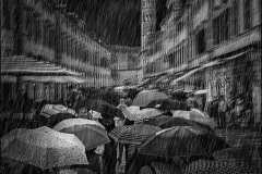 PO001-The-storm-Gary-Scholtz