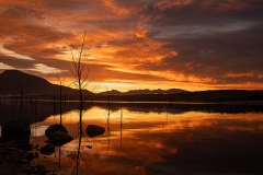 Open-Runner-Up-Judges-Choice-Senior-Desmond-Labuschagne-Fiery-Sunrise