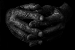 Set Subject Winner - Hands - Sharon Nowacki-Olsen