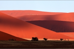 OPEN-RUNNER-UP-Dune-Sossus-9074-Neels-Beyers