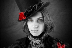 PO001-TUDOR-ROSE-David-Barnes