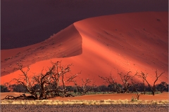 DO001-Landscape-Sossus-9218-Neels-Beyers