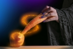 Junior-Runner-Up-Set-Subject-The-magic-carrot-Gustav-Nel
