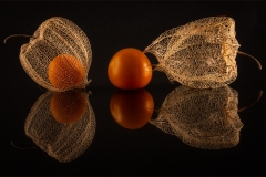 DO001-Gooseberries-Bennie-Vivier