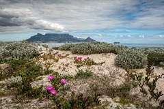 PS001-Spring-morning-in-Cape-Town-Alida-Heine