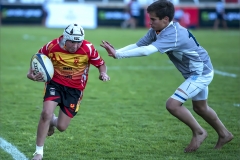 PS001-Focus-on-the-goal-line-Leney-Stipp